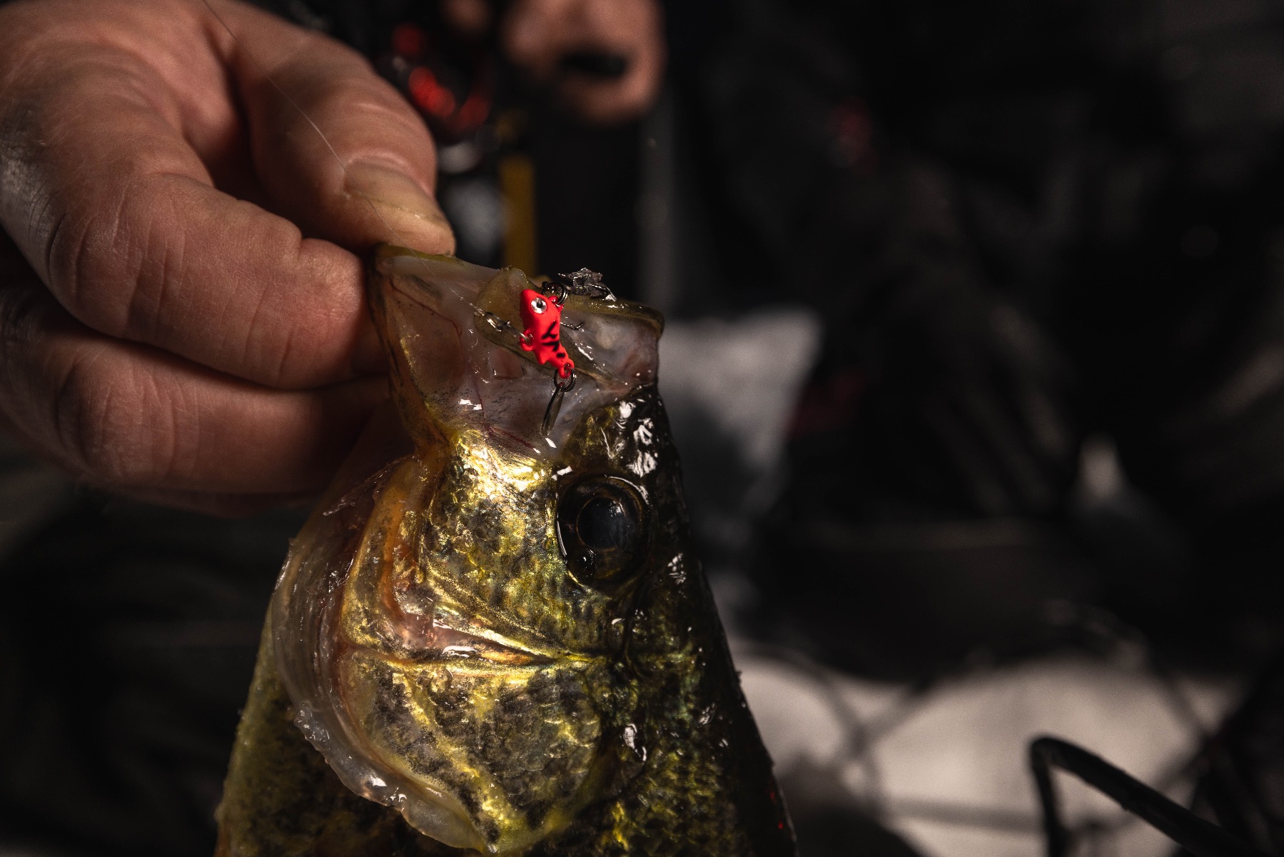 Torch Light UV Jig Charger
