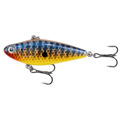 Mud Minnow
